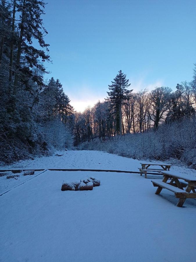 The West Wing At Eriviat Hall Hot Tub Henllan  Exterior foto