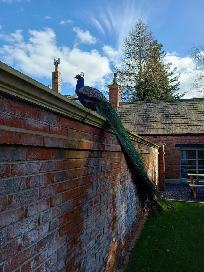 The West Wing At Eriviat Hall Hot Tub Henllan  Exterior foto